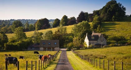 View along a country path leading to farm buildings 