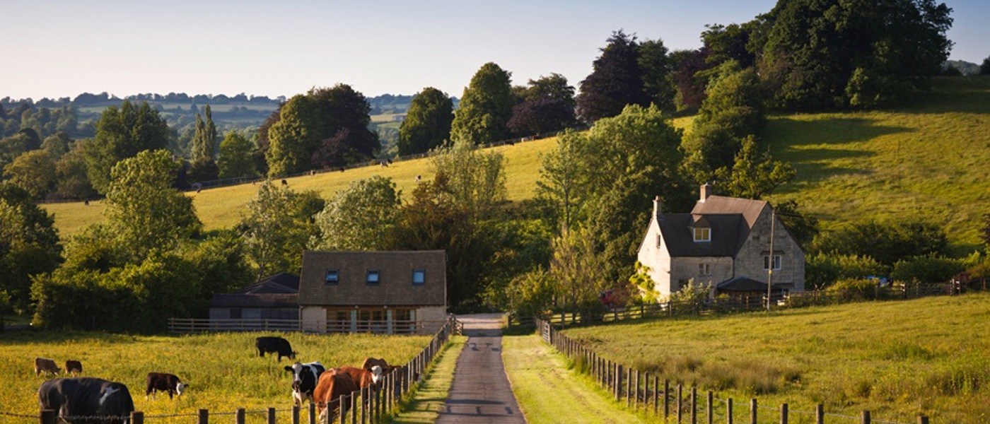 View along a country path leading to farm buildings 