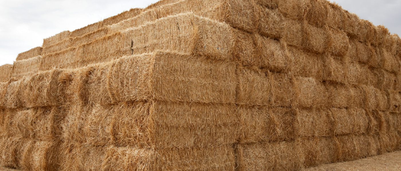 Hay bales piled in a field