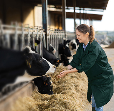 A comprehensive package of agriculture policies from a specialist team