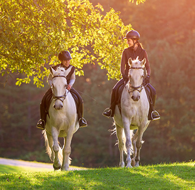 A comprehensive package of agriculture policies from a specialist team