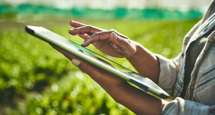 farmer typing on tablet in field