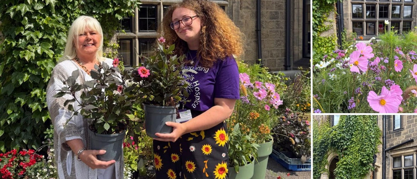 Two women hold pot plants on a sunny day