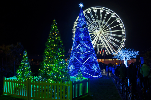 christmas light displays 