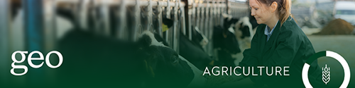 Banner Agriculture Women Feeding Cows At A Feeding Barrier