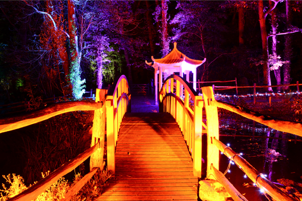 christmas light trail